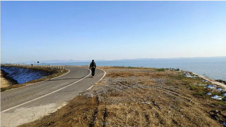 131665632005169853.png image.png