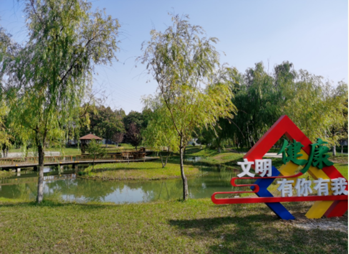 291672284995172595.png image.png