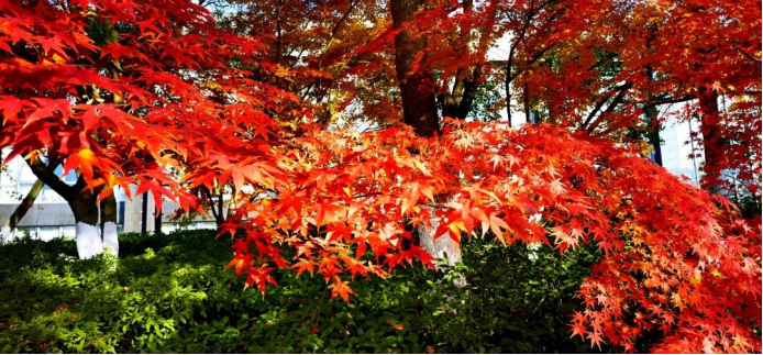 271701043575147519.png image.png