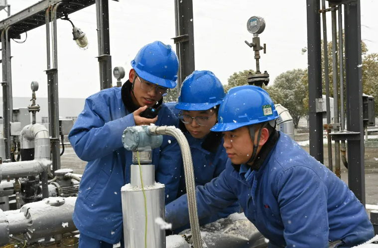 101725926996110869.png image.png