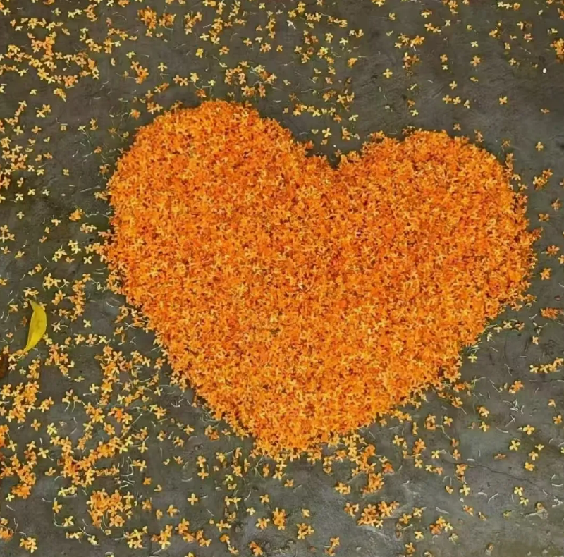 071730960942111649.png image.png