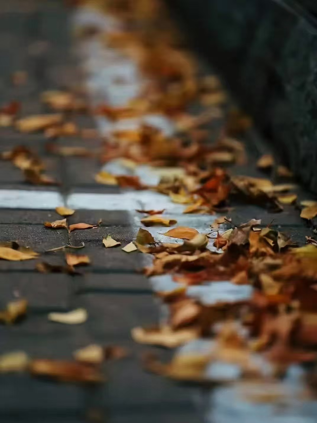 111731307933672657.jpeg e72920425de51cde9ae004a6f883660.jpg