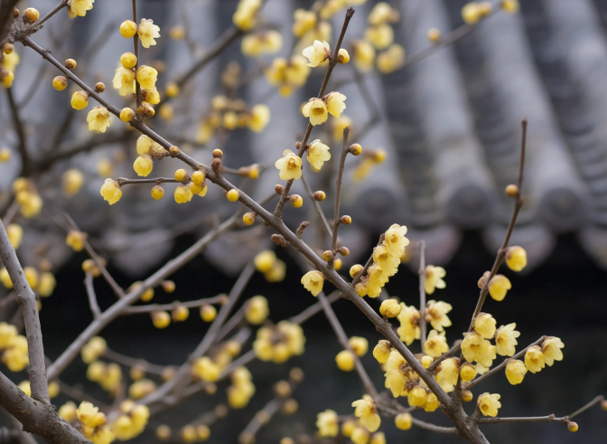 021743572320137235.png 1743572312704.png